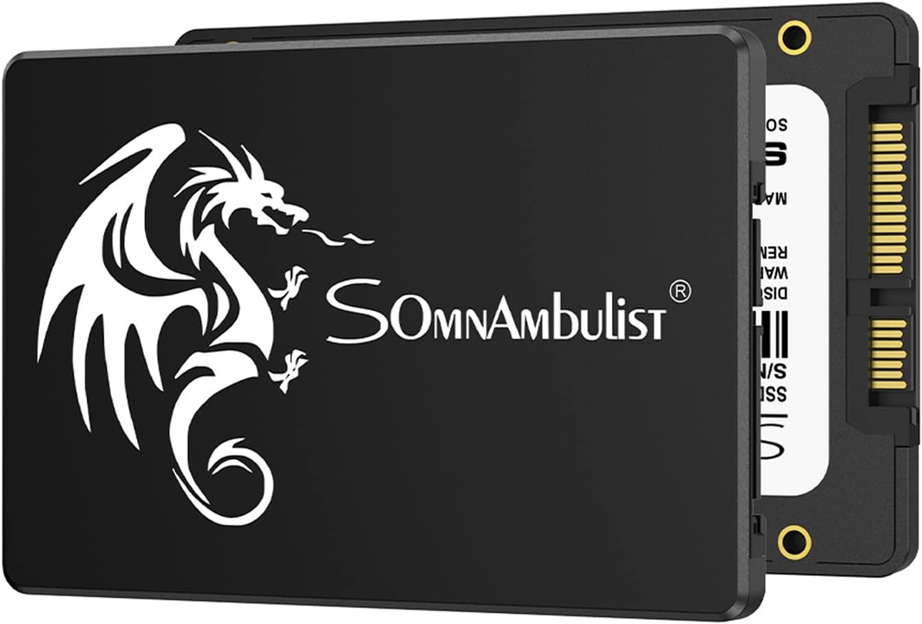 1 (1) SSD SOMNAMBULIST 256GB – Image 1